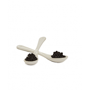  Giusti Cucchiaino Porcellana Hvid porcelnsske 13cm