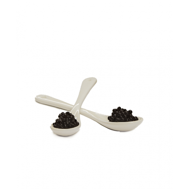  Giusti Cucchiaino Porcellana Hvid porcelnsske 13cm